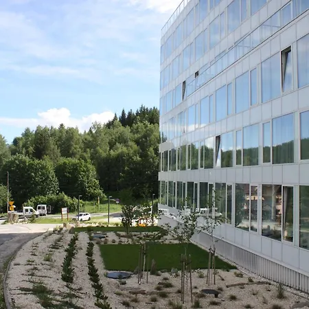 Apartment Biala Perla Czarna Gora