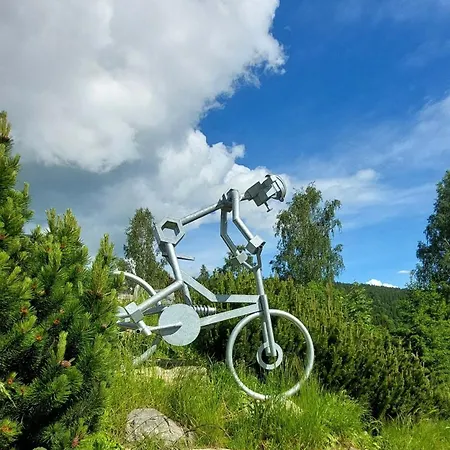 Апартаменты Biala Perla Czarna Gora Сенна