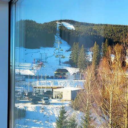 Апартаменты Biala Perla Czarna Gora