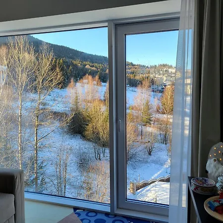 Apartment Biala Perla Czarna Gora *