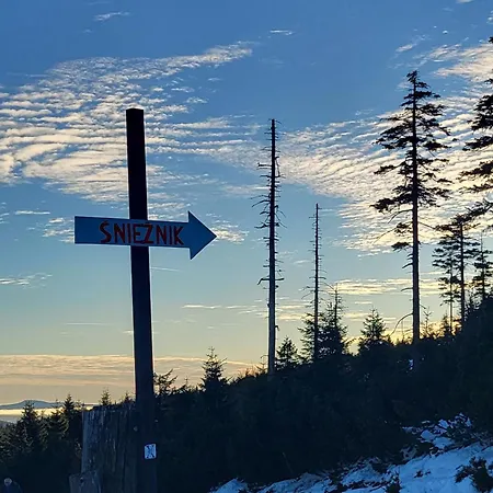 Апартаменты Biala Perla Czarna Gora Сенна